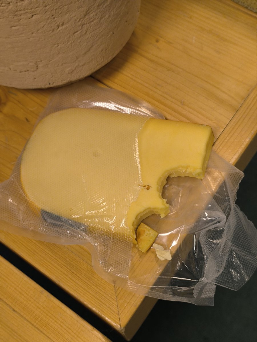 comic sansvolk tweet media