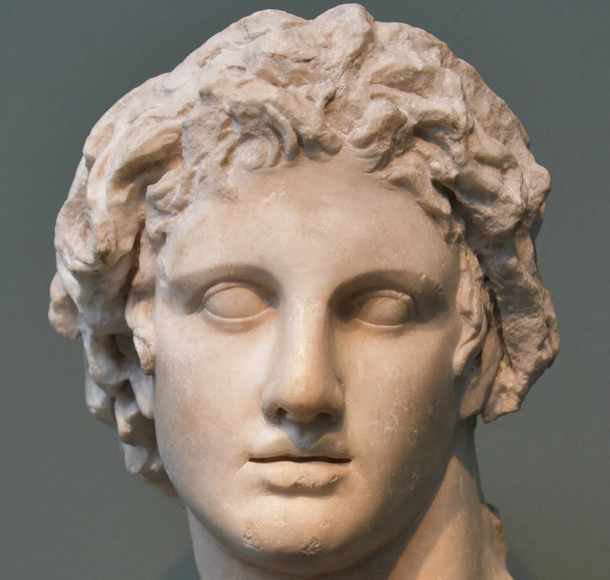 Stats Globe tweet media