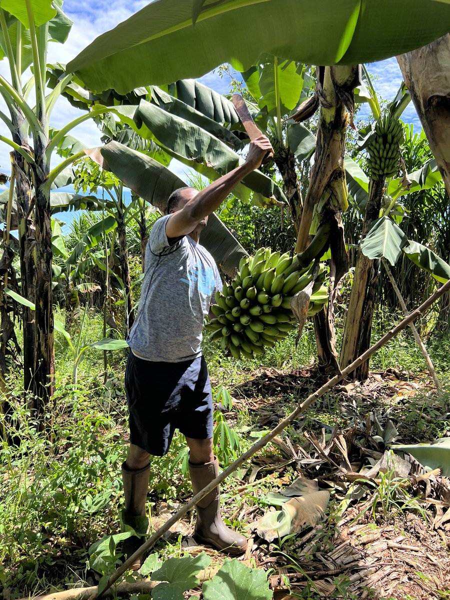 Now that you now know where Nakawuka is, I have land for sale there. It will reduce on your journey to Mbarara. DM me if interested. It even has bogoya and gonja but the thieves of here have been enjoying 🤣🤣🤣