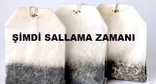 Salih tweet media