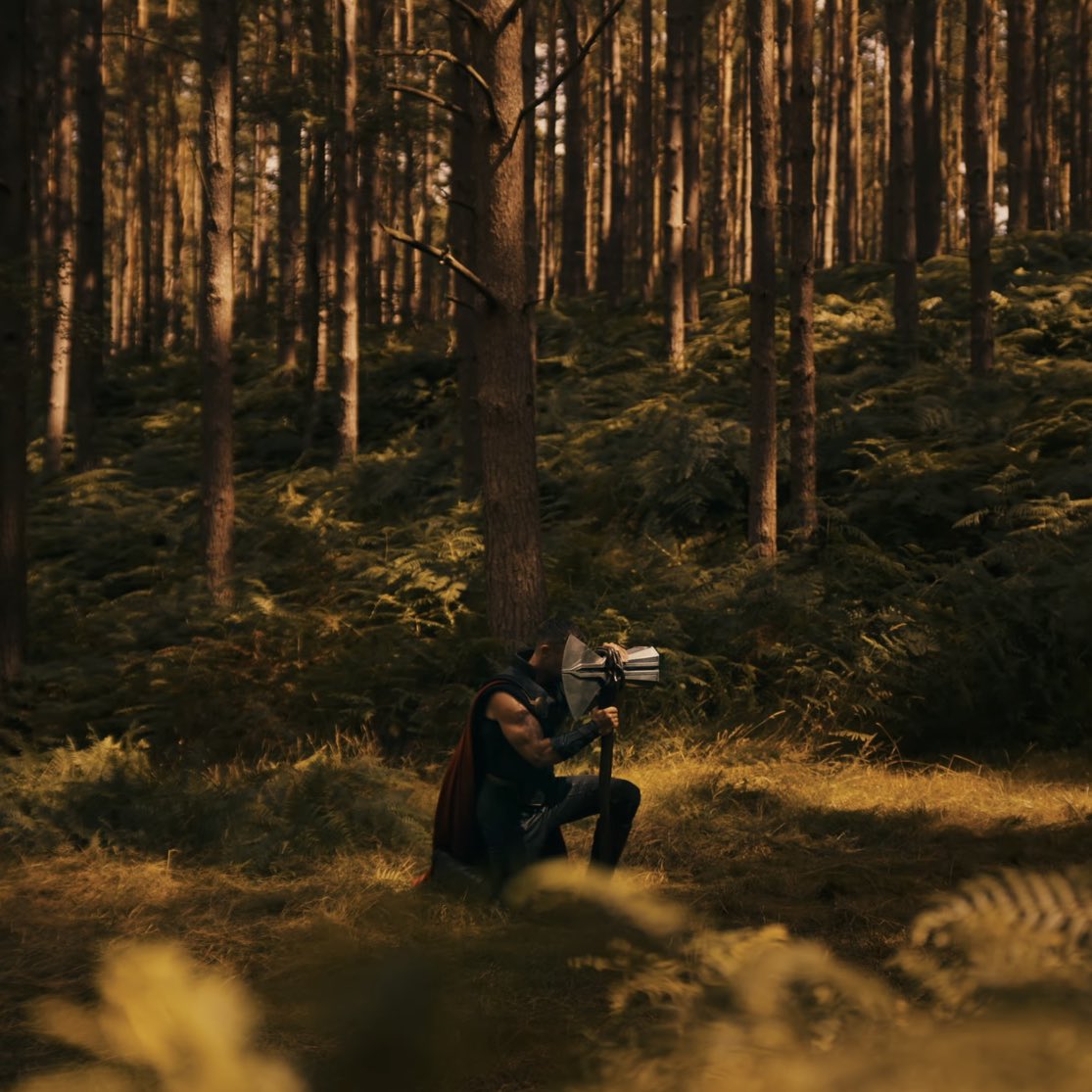 Thor Updates tweet media