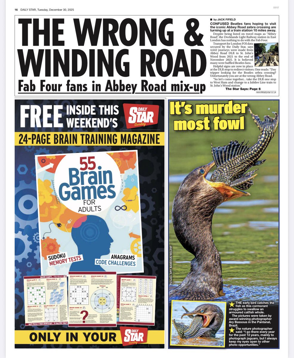 snapagency's tweet image. The neotropic cormorant can be seen struggling to swallow an armored catfish. Protected by bony plates and sharp dorsal and pectoral spines, this prey poses a serious risk.

📸: Ary Bassous
 #cormorant #cormorantfishing #fishfood