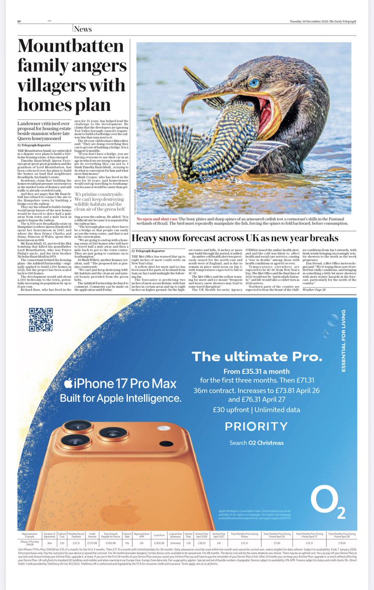 snapagency's tweet image. The neotropic cormorant can be seen struggling to swallow an armored catfish. Protected by bony plates and sharp dorsal and pectoral spines, this prey poses a serious risk.

📸: Ary Bassous
 #cormorant #cormorantfishing #fishfood