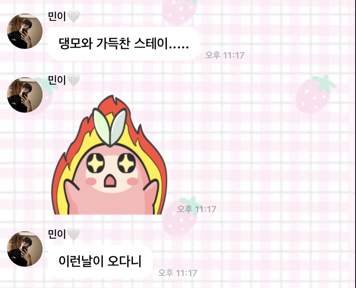 키티!! tweet media