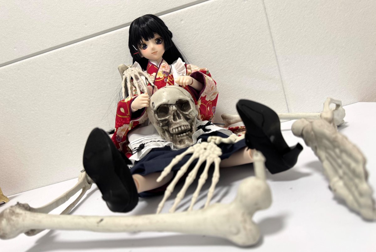 ぴよ。 (@mk_bambino_) / Posts / X