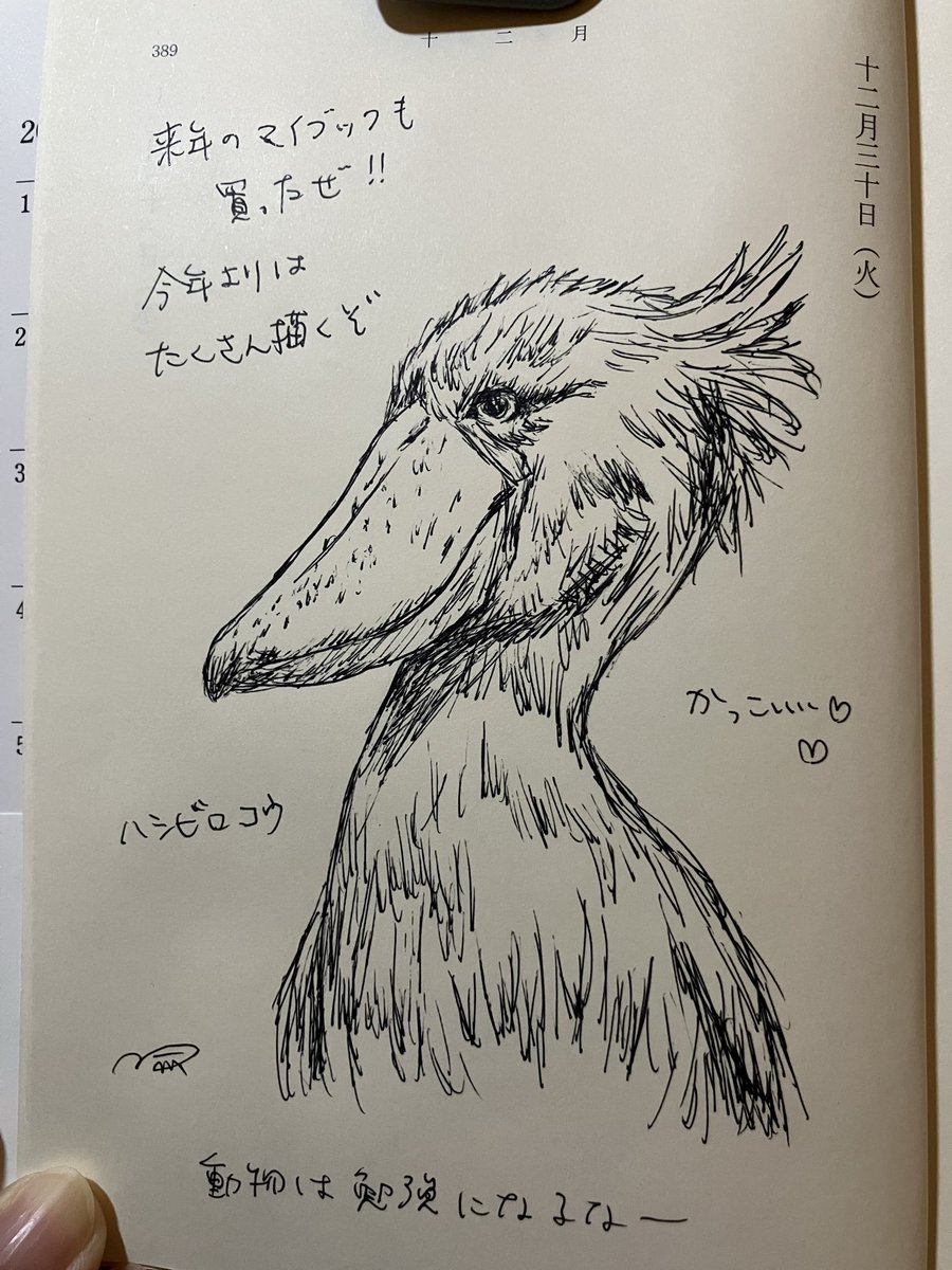 chibanomisoni's tweet photo. 来年もコツコツ描いていきたいな

#マイブック #ペン画 #イラスト https://t.co/7FUOpNaua7