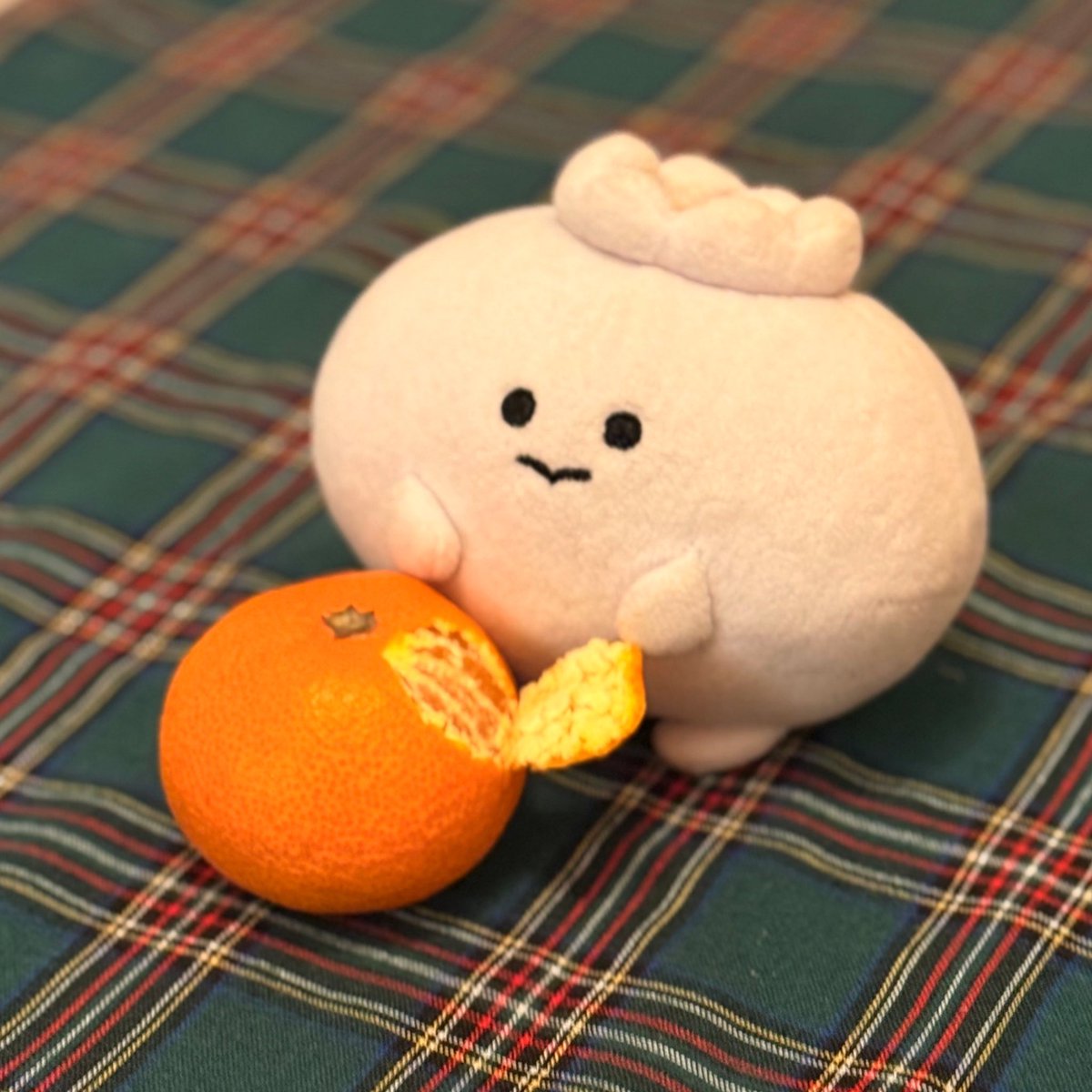 なんこめ、だろう