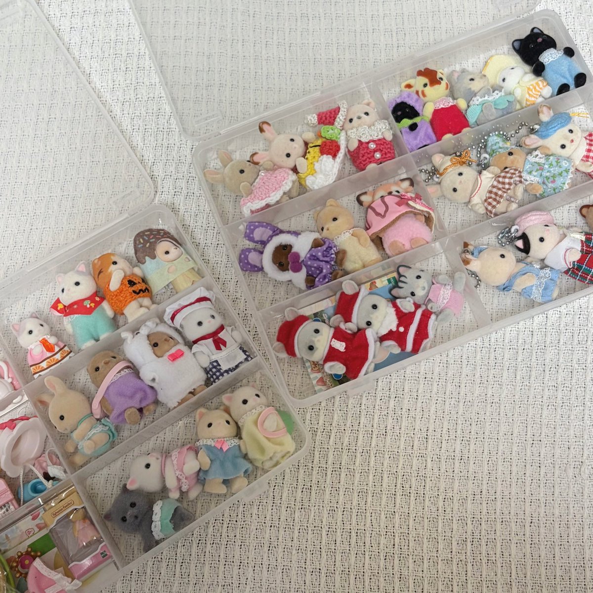 うに (@_uni0423_) / Posts / X