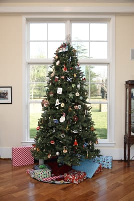 BudaFireDept's tweet photo. If you have a real Christmas tree, make sure to get rid of it right after the holidays. A dry Christmas tree is a fire hazard. https://t.co/39b5OFZBKc