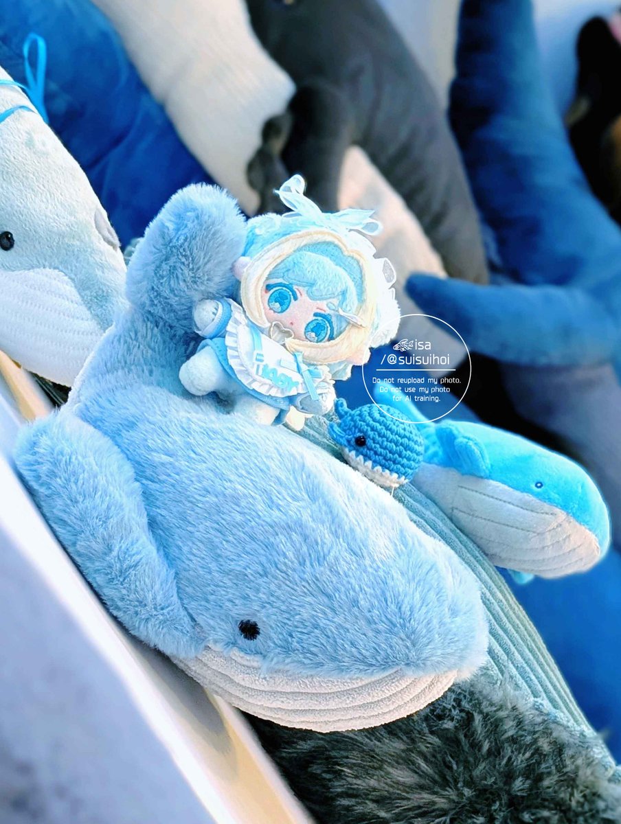 ゆぬこ@ぬいオーダー🎀 (@yunuinuiko) / Posts / X