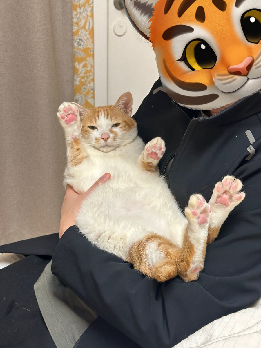 하이 여러분 양치는 빼먹지 않도록 해