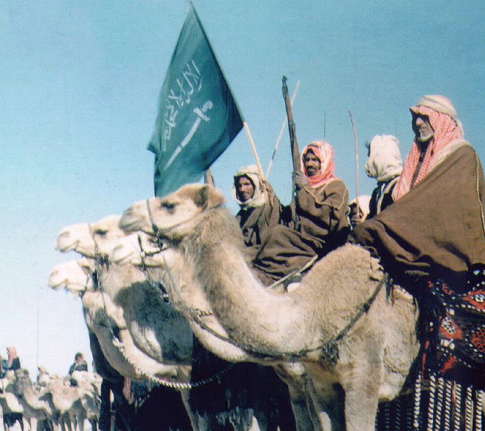 نضرب لك أكباد الإبل ونفتّت أكباد الرجال
دونك نشوف الموت صادق والحياة مجامله

🇸🇦.