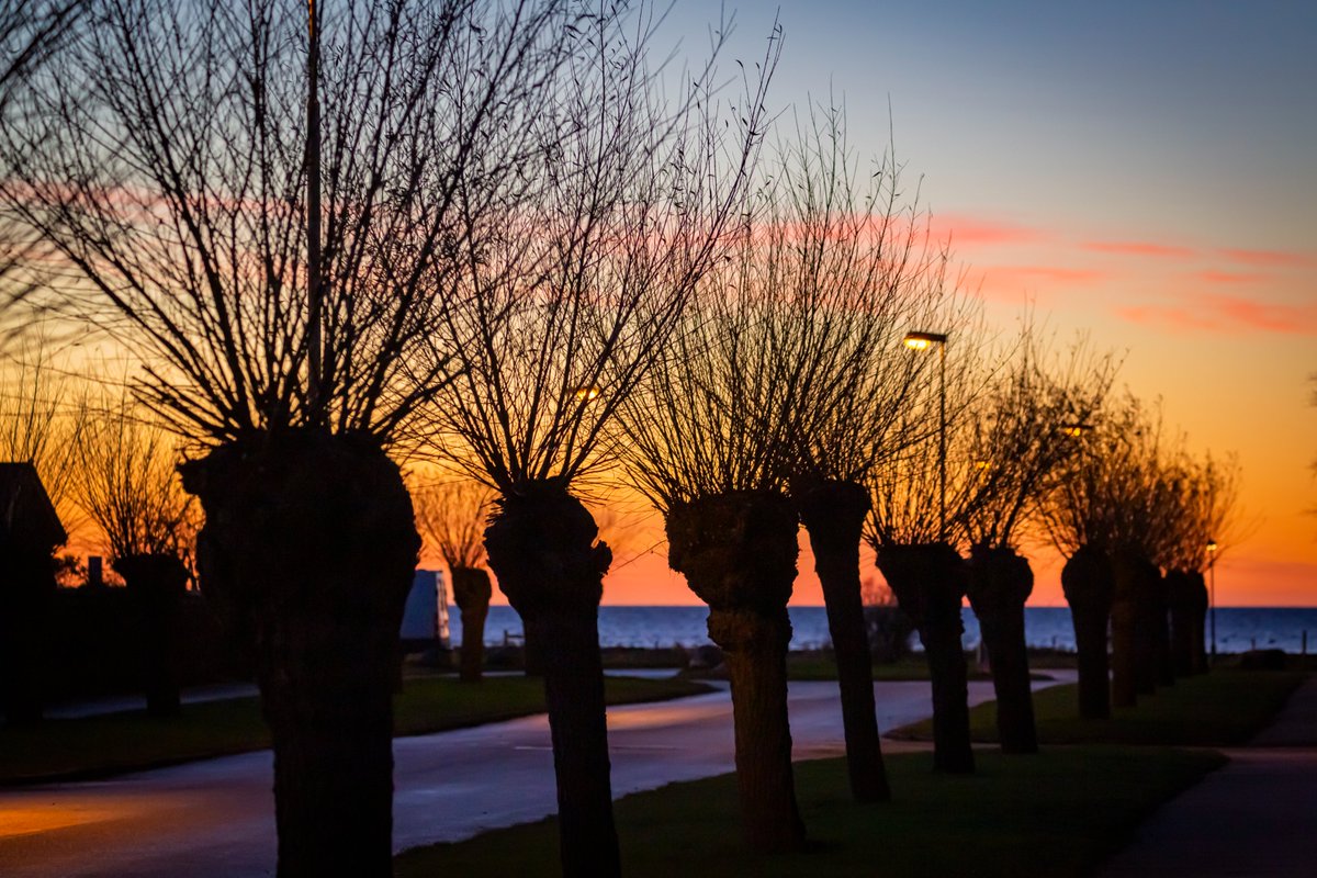 Ebbason's tweet image. Pilevall i skymning vid sundet
December 27, 2025