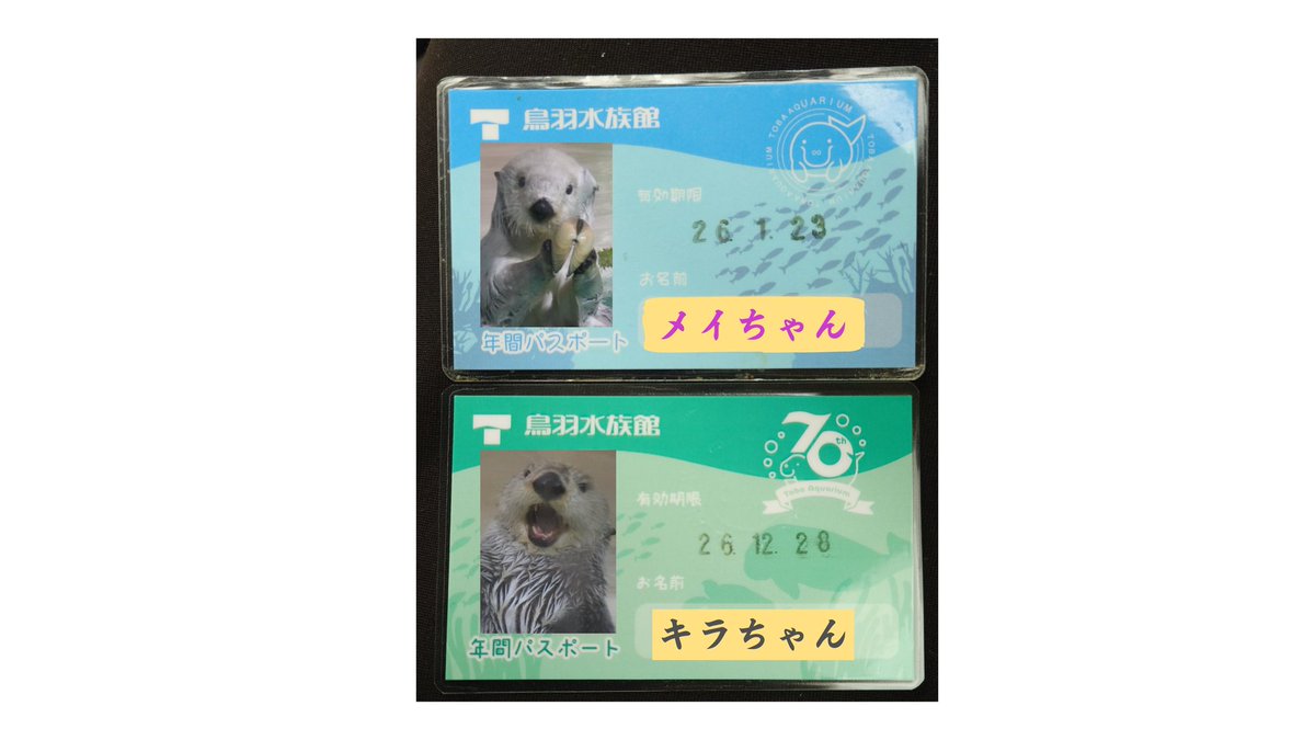 鳥羽水族館の年パスが来年からデジタル年間パスポートに変わると聞き