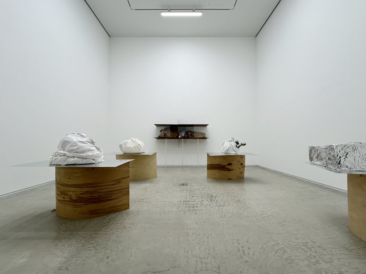 hamuzou's tweet image. フン・ティエン・ファン「Full of debt」を大塚のMISAKO &amp;amp; ROSENで見た。ファウンドオブジェクトを素朴な手法で組み合わせたユーモラスな彫刻作品群によるインスタレーション。エッセンを拠点に活動するベトナム系ドイツ人アーティスト。待望の日本初個展。11/16で終了。