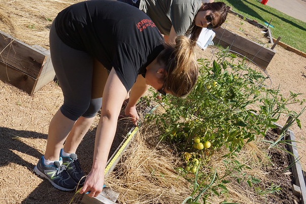 Out Teach tweet media