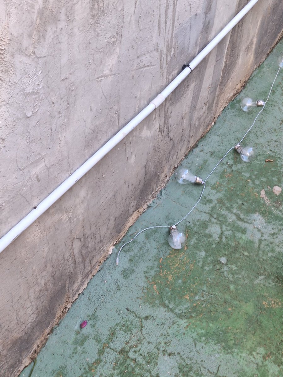 El Rincón Musical tweet media