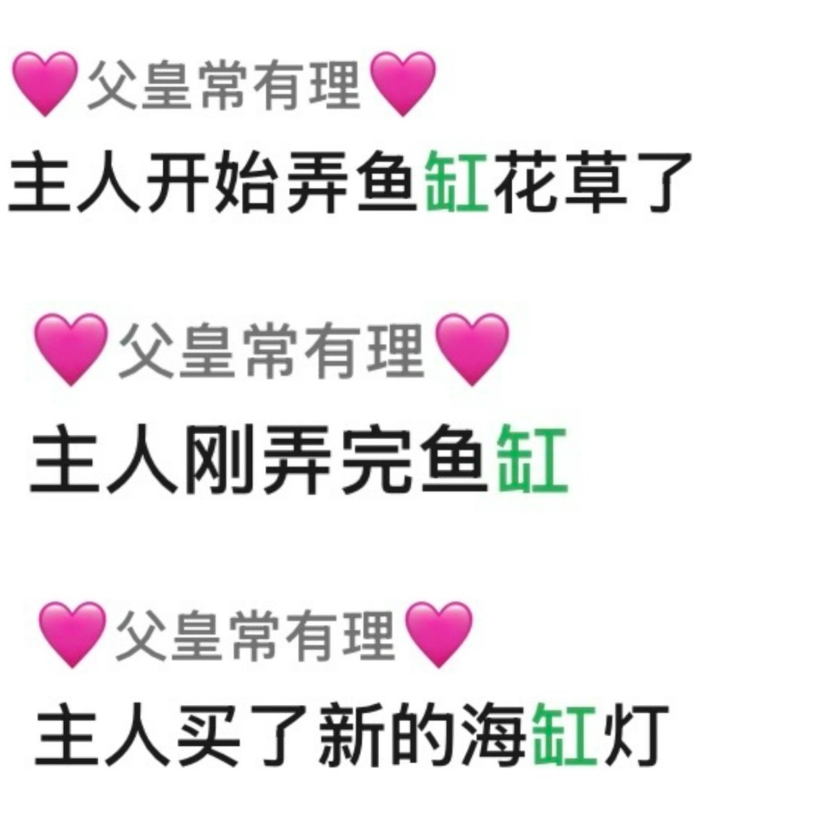 如果你的主人喜欢养缸、打游戏等……那你大概率是见不到他的
请问30多岁的男人都这样吗🫠