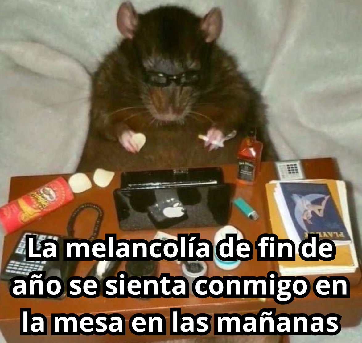 conoloracigarro's tweet photo. https://t.co/NX4dIjhsJR