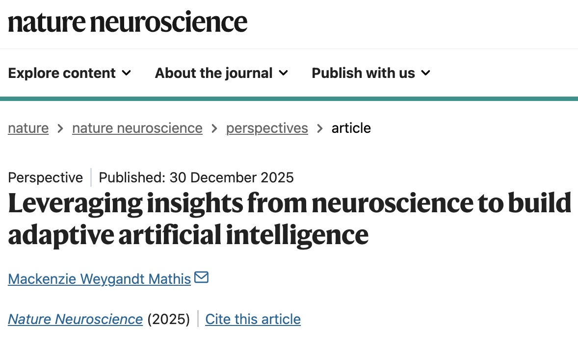 Neuroscience-inspired architectures for building truly adaptive AI

Modern AI systems are powerful but brittle. Train a model, deploy it, and watch performance degrade as the world shifts. Retrain on new data, and the model forgets what it knew. This cycle produces systems that