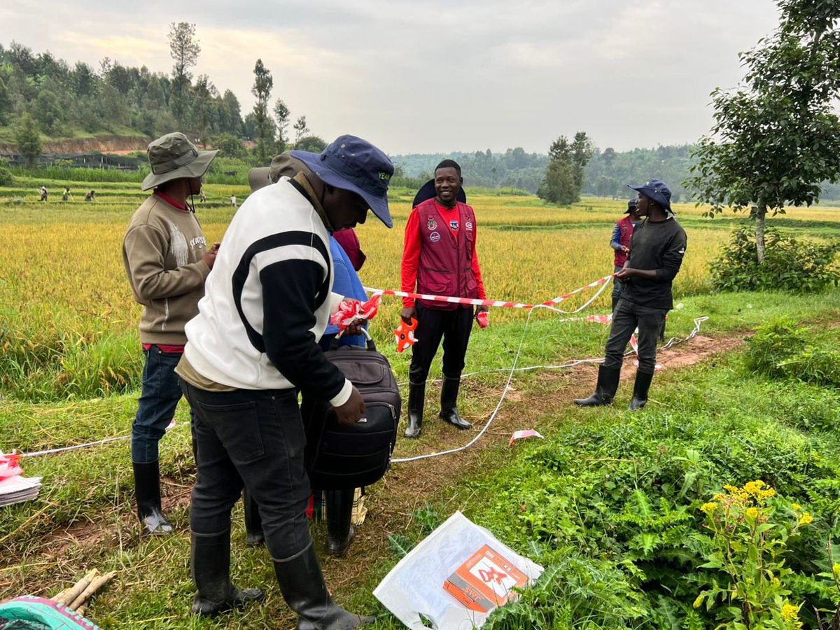 YEAN_Agro's tweet photo. We are in the harvesting time for rice, one of our main crop. To ensure quality yield data, today, our team is recording rice yield data across irrigation schemes despite weather with rainfall. 
The commitment of our field agents ensures accurate, high-quality yield data to support evidence-based agricultural planning and decision-making.
Data quality doesn’t stop for weather. 💪🌧️