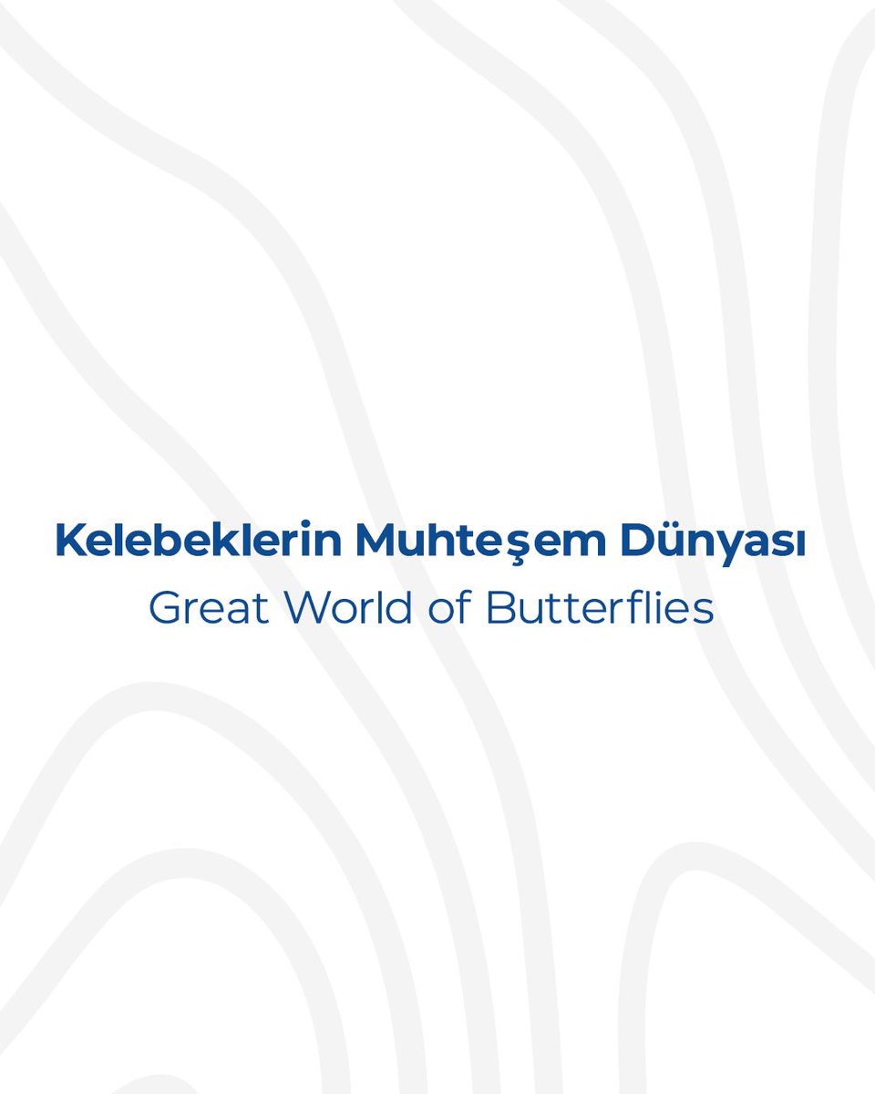 ButterflyW_tr's tweet photo. Kelebeklerin Muhteşem Dünyası

Great World of Butterflies

#YakındaYanında #DünyanınEnBüyükKelebekParkı #SanaYakınCanaYakın #ButterflyWorldAntalya https://t.co/RgPrUROhMy