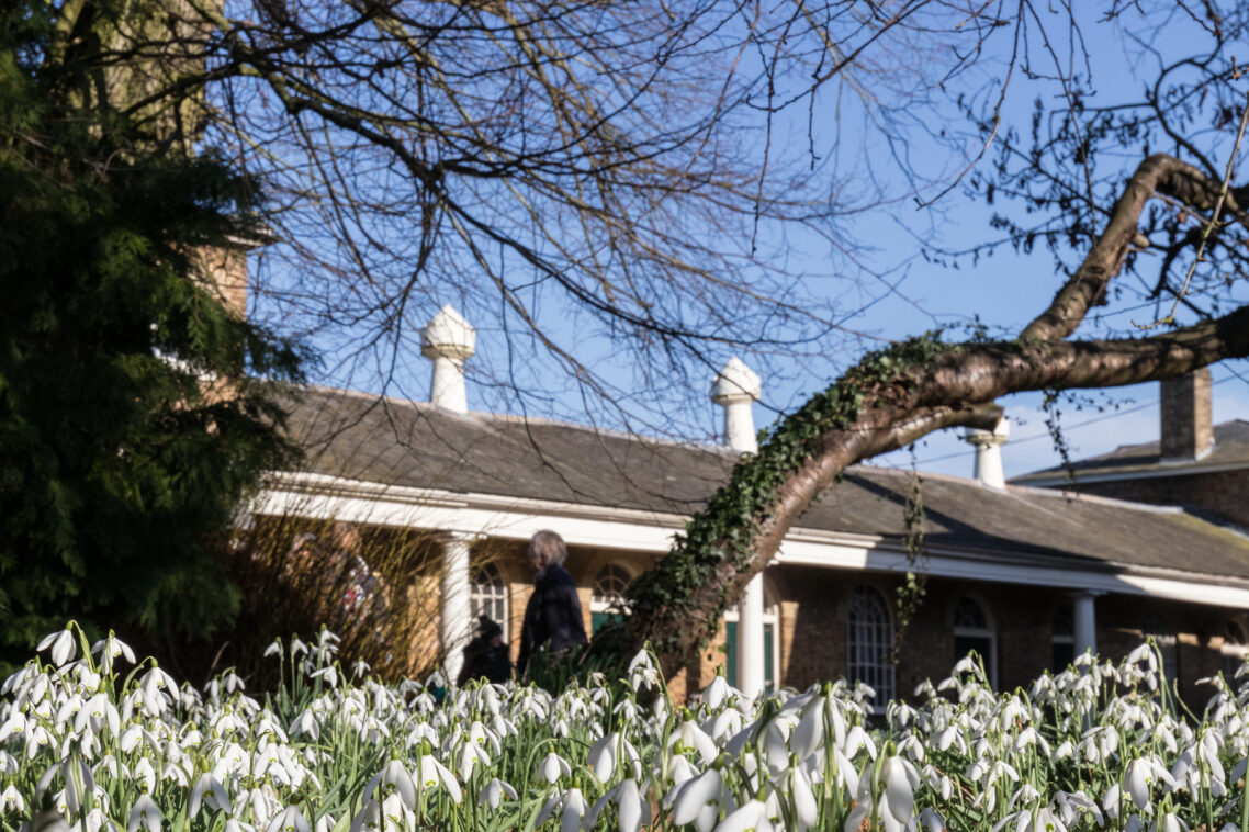 HertfordshirNGS's tweet photo. Walkern Hall in #Stevenage #Hertfordshire opens #TODAY 12-4pm. This glorious 8-acre winter #woodland #garden is a carpet of iconic #snowdrops with plenty of cheerful #aconites in the mix too! A great seasonal afternoon for all!
👉https://t.co/0tY9qQXIG8 https://t.co/bRDJnUfXWA