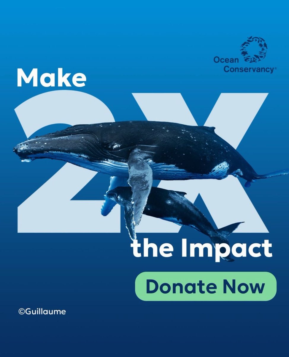 OurOcean's tweet image. There are just 2 days left to give back in 2025, and we’re celebrating the best way we know how: Until 2026 arrives, your donation will be DOUBLED, making 2X the waves for our blue planet! 🌊🌊

Give now and DOUBLE your impact before time runs out! ⏳

DONATE TODAY:…