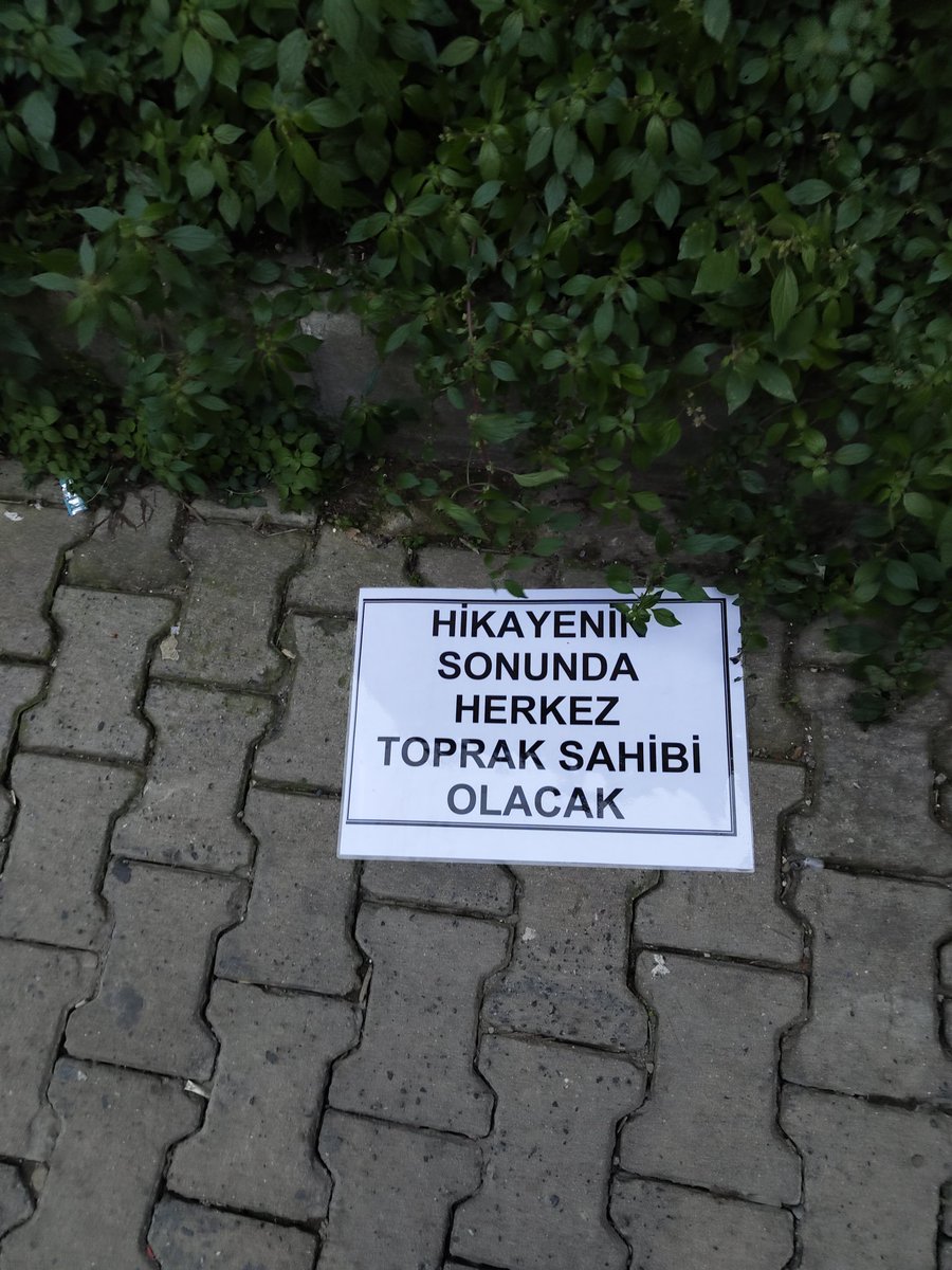 Ünal Öztürk (@unaalozturk) on Twitter photo 