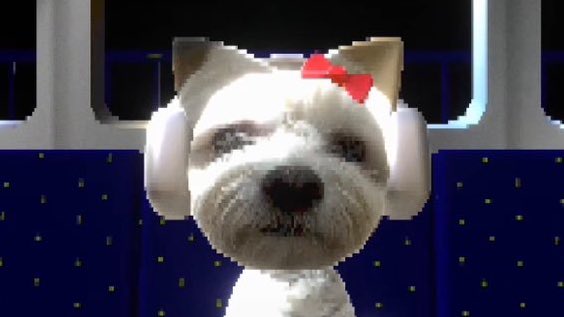 mnteureuse's tweet photo. 귀여워   귀여워 https://t.co/jg82sqFTo6