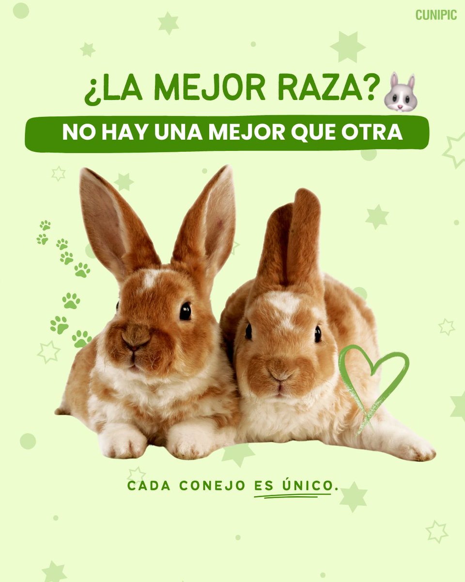 ¿Existe realmente la “mejor” raza de conejo? 🐇💚
La respuesta es NO: cada raza tiene sus características… pero lo más importante es su personalidad, sus cuidados y tu compromiso con su bienestar. 
#Conejos #ConejosDomésticos #RazasDeConejo #Cunipic #AmantesDeLosAnimales