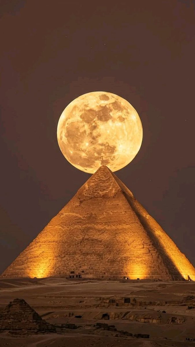 Nature Pics tweet media