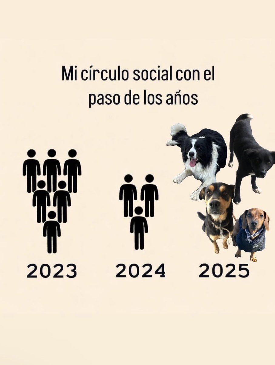 Lomitos Suavecitos (@suaveslomitos) on Twitter photo 