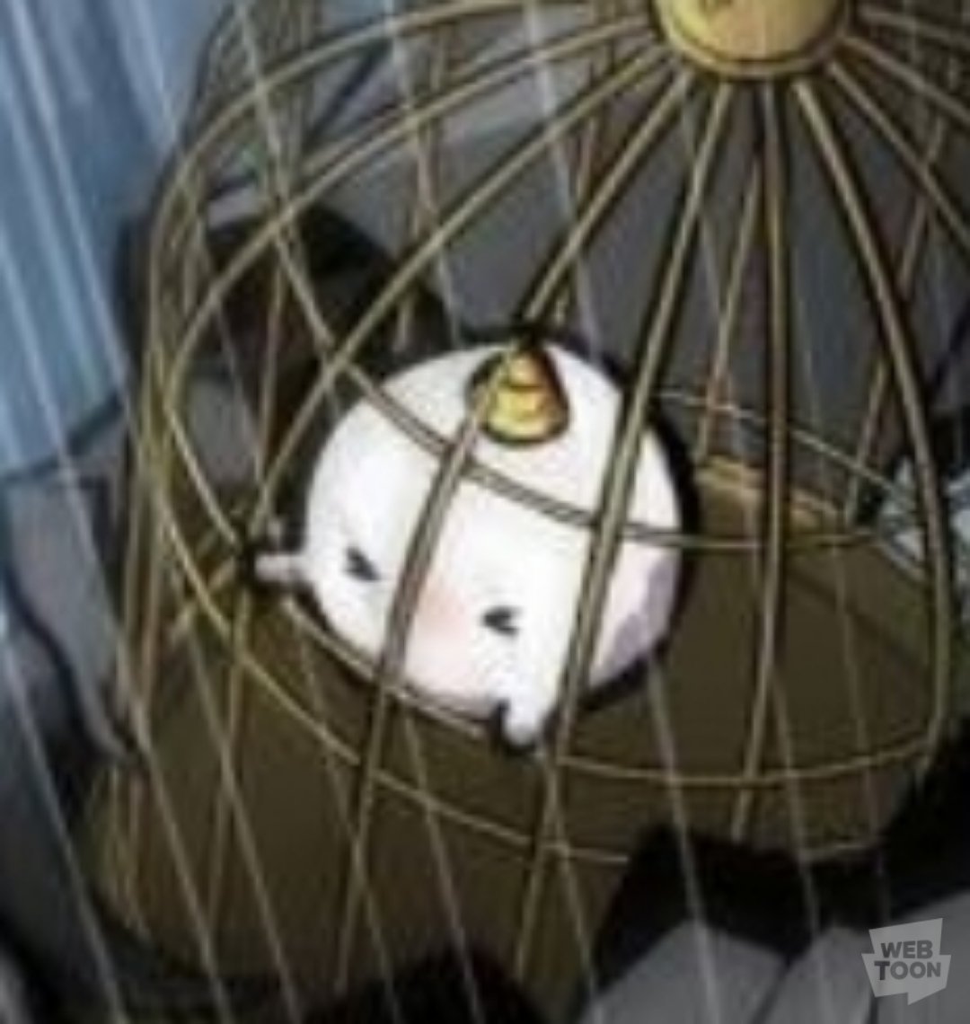 kki_nim's tweet image. .                                     ૮( ›   ‹  ૮ )