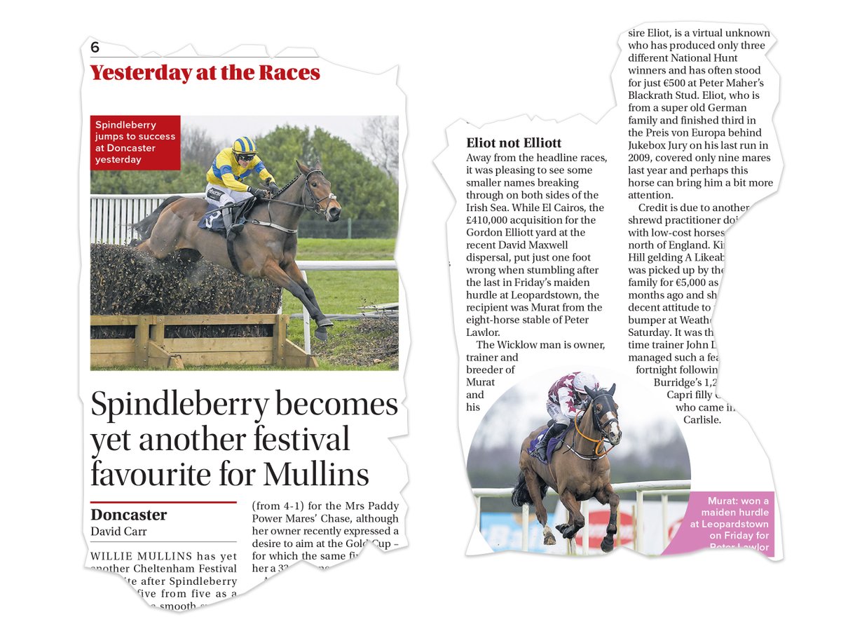 Blackrath Stud tweet media