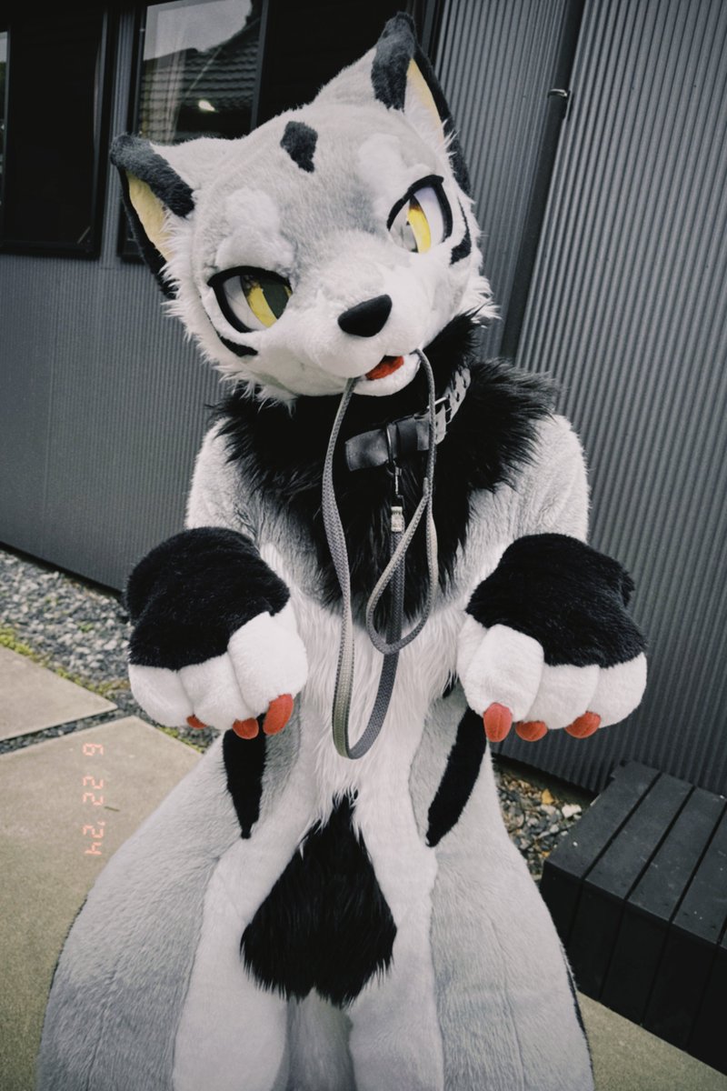 るんるん るんるん (@maid_runrun) / Posts / X