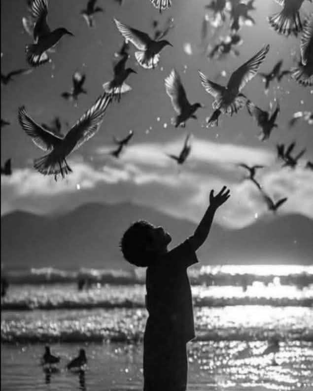 "Déjate guiar...
 por el niño que una vez fuiste".

               ~ José Saramago