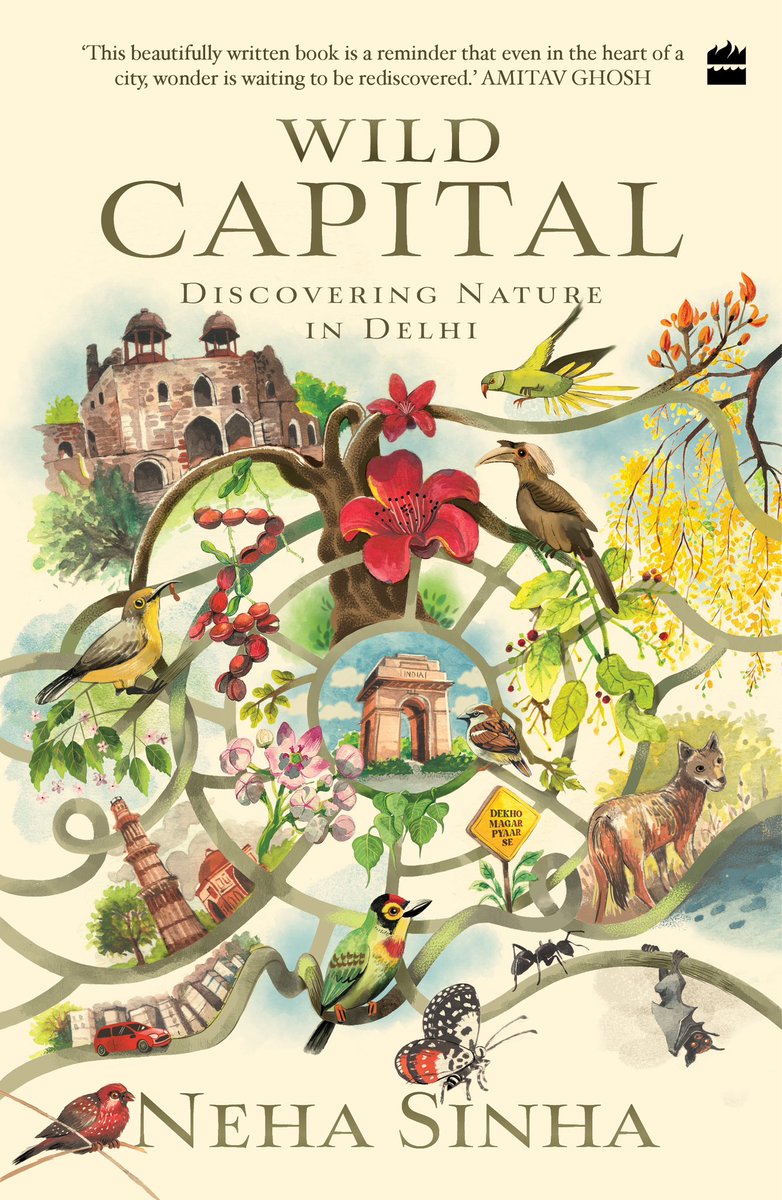 Neha Sinha tweet media