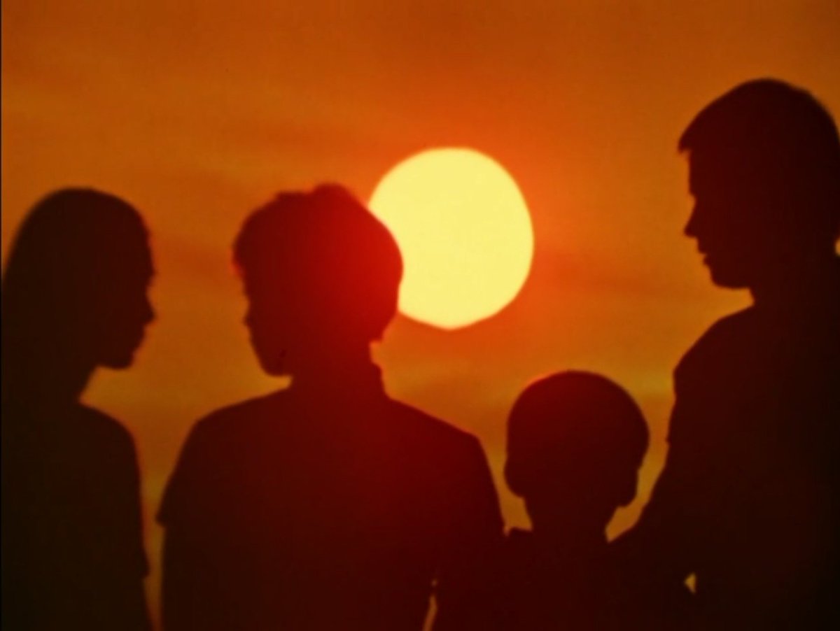 Tora-jima tweet media