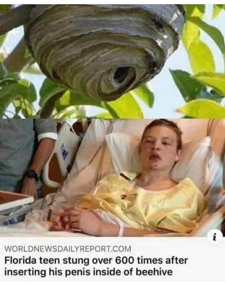 fleetfm's tweet image. I feel like I've shared this before