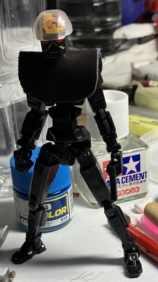 透明標本　ハブ頭部 透明標本 ハブ頭部 危険な毒蛇ハブの全ゲノム解読〜毒を