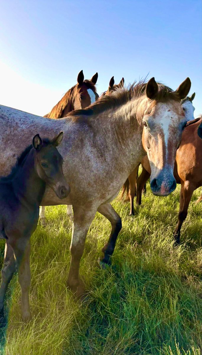 DILFS____'s tweet image. la foto que saque hace un rato mamita querida 🙏🏻