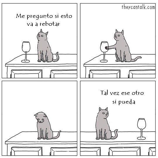 Cosas de los gatos