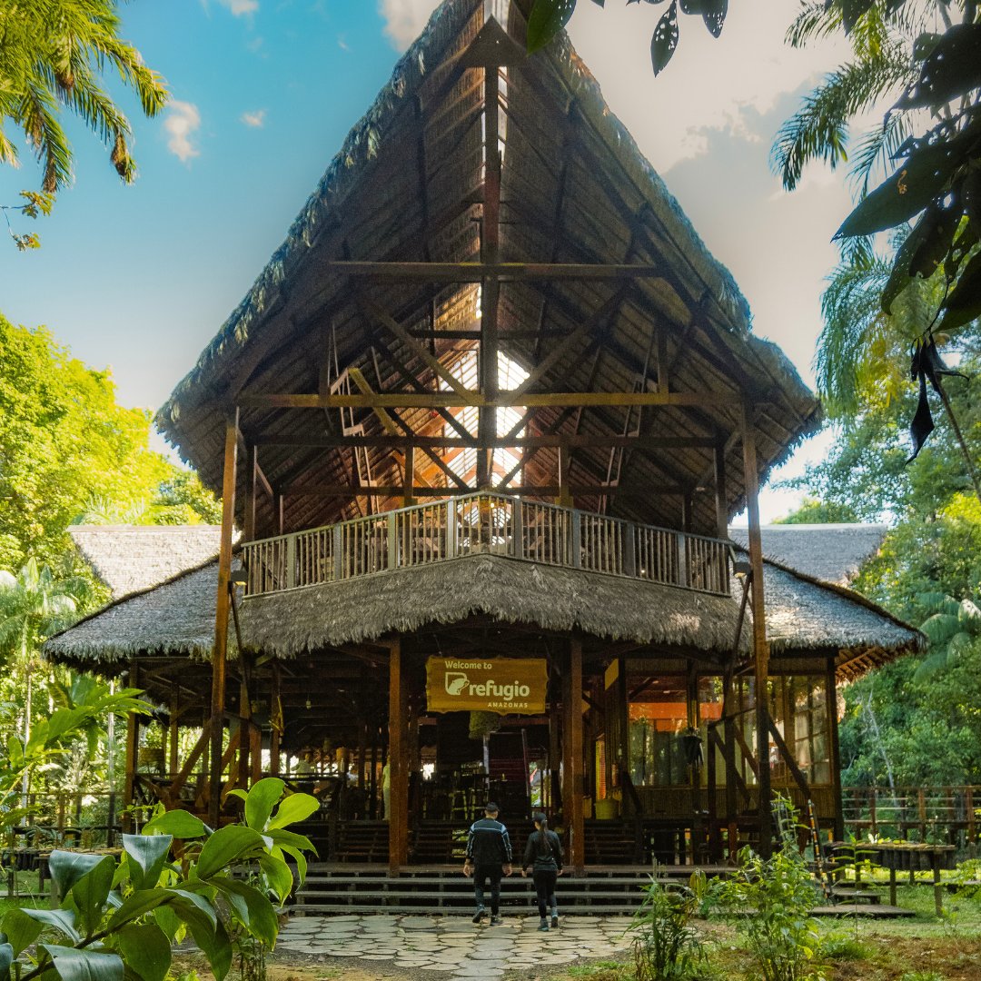 Rainforest Expeditions tweet media