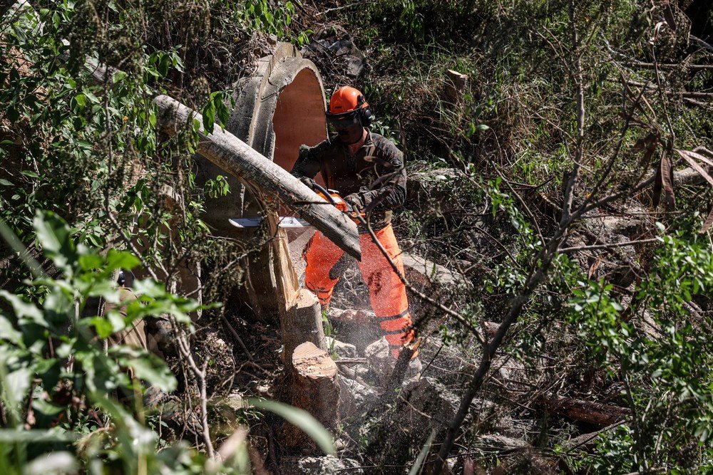 iimefmarines's tweet photo. Combat Engineers with @22nd_MEU clear timber and rebar during an airstrip overhaul on Camp Santiago, PR. Marines are deployed to the Caribbean in support of Operation Southern Spear.
📸 U.S. Marine Corps Photo
@USMC @DeptofWar @Southcom https://t.co/ICMy28BG5K