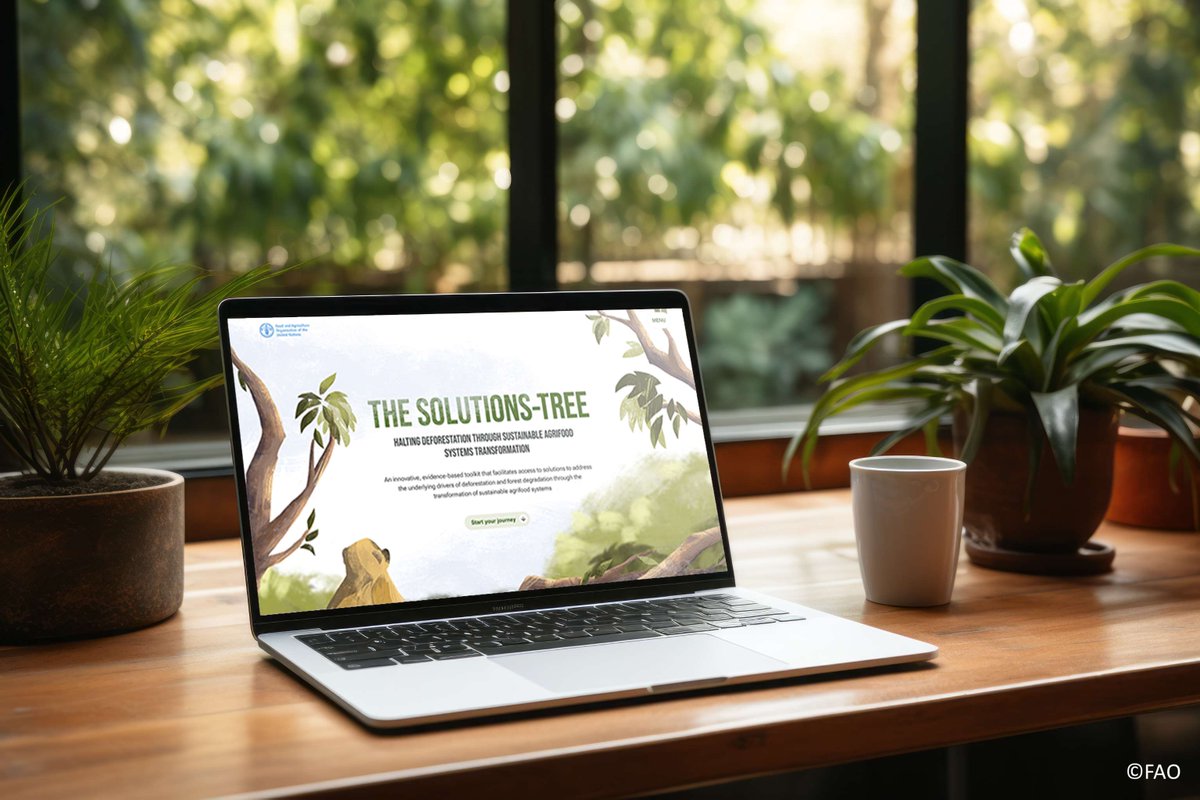 FAOForestry's tweet photo. π± @FAO's #SolutionsTree is an online analytical toolkit that helps identify practical, systemic solutions to halt deforestation while advancing sustainable agrifood systems.
Explore the toolkit π https://t.co/PHPaVsV70g
@MAFF_JAPAN @UNREDD https://t.co/Qy9xFoNVvw