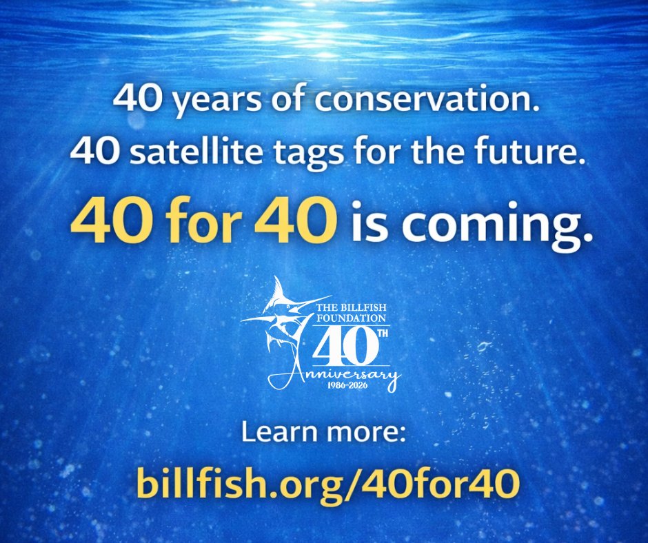 The Billfish Foundation tweet media