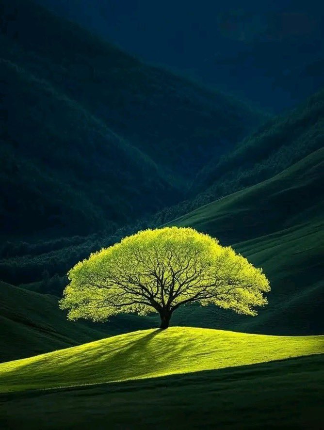 Aesthetics (@aestheticspost_) on Twitter photo 