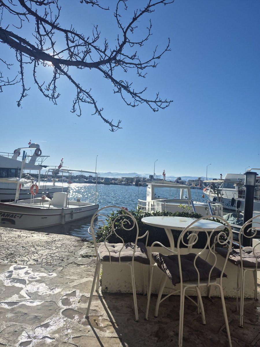 "Kışın sert nefesi dün ruhumuzu üşütürken, bugün altın rengi bir sükût her yanı sardı. Ömür dediğimiz de bu değil mi? En beyaz kışların ardında daima en parlak sabahlar saklıdır."