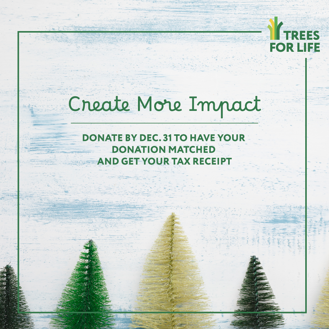 Trees for Life tweet media